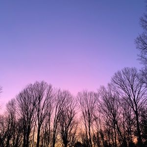 Meet your Posher, Lea